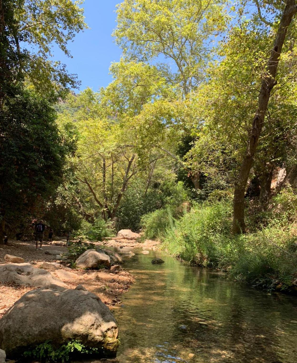 Отель Netta'S Place Mitzpe Hila Экстерьер фото